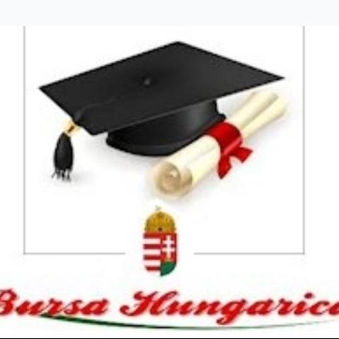 bursa hungarica logo